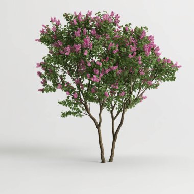 Beyaz arkaplanda izole edilmiş üç boyutlu eflatun ağacı çizimi