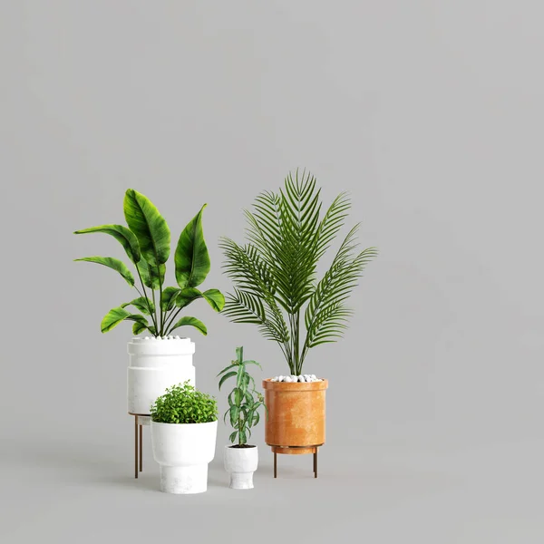 3d illustration of set potted plant isolated on grey background