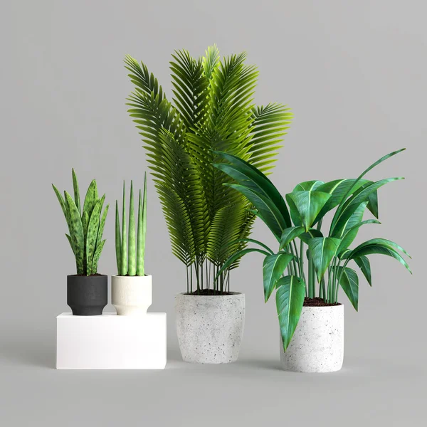 3d illustration of set potted plant isolated on grey background