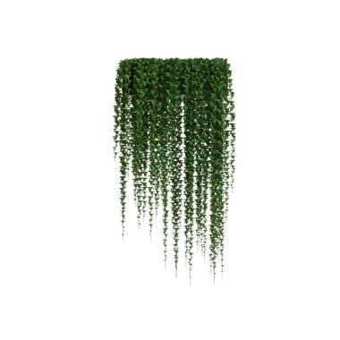 Beyaz arkaplanda 3 boyutlu sarmaşık çizimi