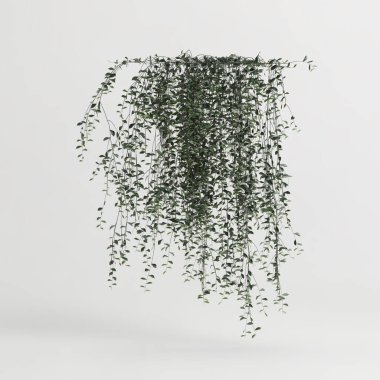 Beyaz arkaplanda izole edilmiş sarmaşık bitkisinin 3d çizimi