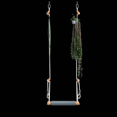 3d illustration of swing with plant isolated on black background