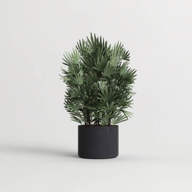 3d illustration of house plant isolated on white background