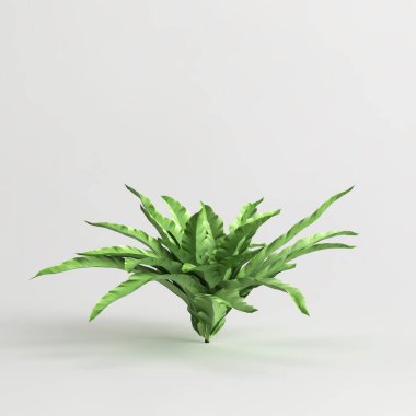 3d illustration of tropical bush isolated on white background