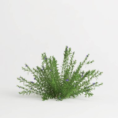 3d illustration of houseplant bush isolated on white background