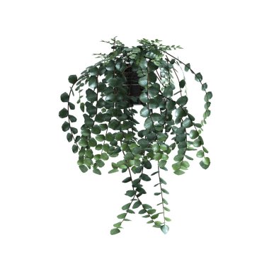 Asılan bitkinin beyaz arka planda izole edilmiş 3D çizimi