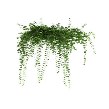 Asılan bitkinin beyaz arka planda izole edilmiş 3D çizimi