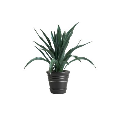 Beyaz arkaplanda izole edilmiş 3D ev bitkisi çizimi