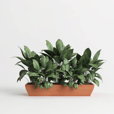 Beyaz arkaplanda izole edilmiş 3D ev bitkisi çizimi