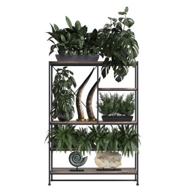 Raf bitkisinin beyaz arkaplanda izole edilmiş 3d illüstrasyonu