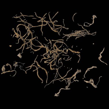 Siyah arkaplan görünümünde izole edilmiş kuru otların 3d çizimi