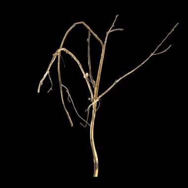 Siyah arkaplanda izole edilmiş 3 boyutlu kuru çimen çizimi