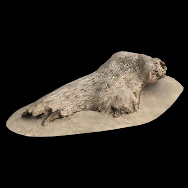 Siyah arka planda izole edilmiş kumun üzerindeki kuru ahşabın 3 boyutlu çizimi