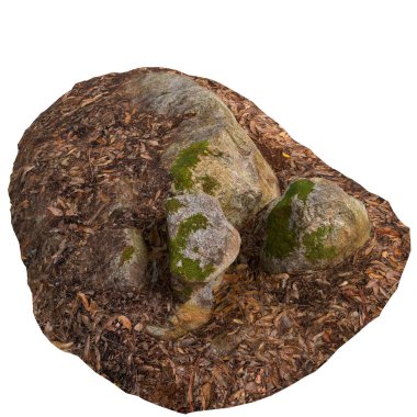 Beyaz arka planda kuru yaprakların üzerine kurulmuş 3 boyutlu yosun kaplı kayalar.