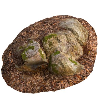 Beyaz arka planda kuru yaprakların üzerine kurulmuş 3 boyutlu yosun kaplı kayalar.