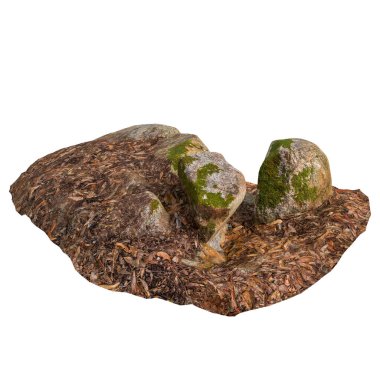 Beyaz arka planda kuru yaprakların üzerine kurulmuş 3 boyutlu yosun kaplı kayalar.