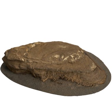 Kum rafındaki kayaların beyaz arka planda izole edilmiş 3D çizimi