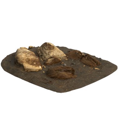 Kum rafındaki kayaların beyaz arka planda izole edilmiş 3D çizimi
