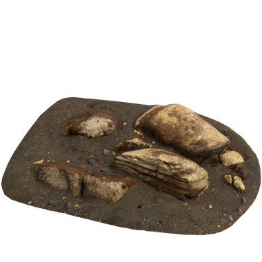 Kum rafındaki kayaların beyaz arka planda izole edilmiş 3D çizimi