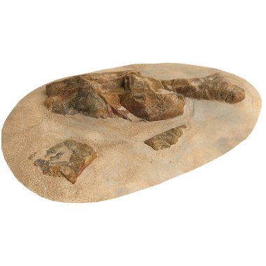 Kum rafındaki kayaların beyaz arka planda izole edilmiş 3D çizimi