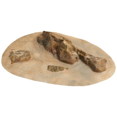 Kum rafındaki kayaların beyaz arka planda izole edilmiş 3D çizimi