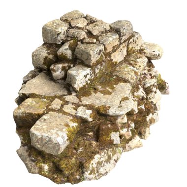 Beyaz arkaplanda izole edilmiş 3 boyutlu yosun kalıntıları çizimi