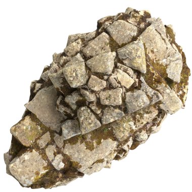 Beyaz arkaplanda izole edilmiş 3 boyutlu yosun kalıntıları çizimi