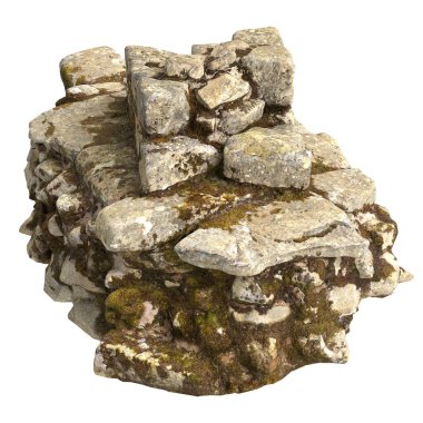 Beyaz arkaplanda izole edilmiş 3 boyutlu yosun kalıntıları çizimi