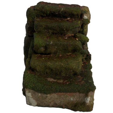 Beyaz arkaplanda 3 boyutlu yosun kaplı merdiven çizimi