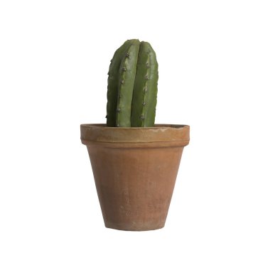 Beyaz arkaplanda izole edilmiş 3D ev bitkisi çizimi