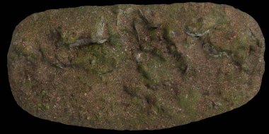 Zeminin 3d çizimi, siyah arkaplan görünümünde yosun örtülü kuru izole edilmiş