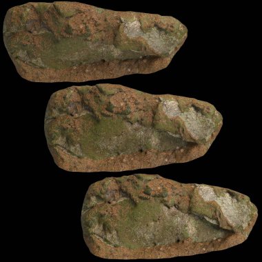 Zeminin 3 boyutlu çizimi, siyah arkaplanda kuru yosun örtüsü