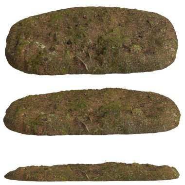 Zeminin 3 boyutlu çizimi, beyaz arkaplanda yosun örtülü kuru izole edilmiş