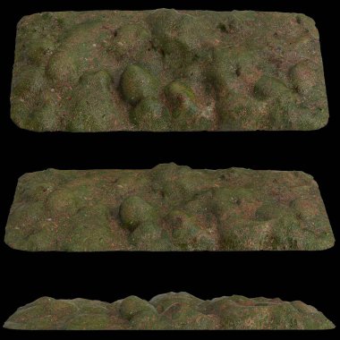 Zeminin 3 boyutlu çizimi, siyah arkaplanda kuru yosun örtüsü