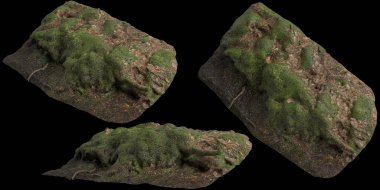 Zeminin 3 boyutlu çizimi, siyah arkaplanda kuru yosun örtüsü