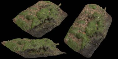 Zeminin 3 boyutlu çizimi, siyah arkaplanda kuru yosun örtüsü