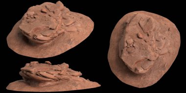 Siyah zemin üzerinde izole edilmiş çakıl rafındaki kayaların 3D çizimi