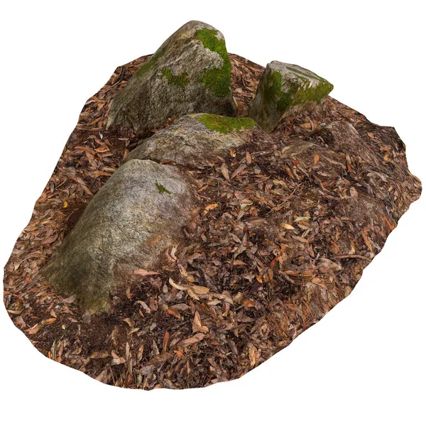 Beyaz arka planda kuru yaprakların üzerine kurulmuş 3 boyutlu yosun kaplı kayalar.