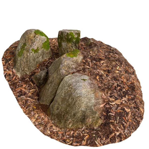 Beyaz arka planda kuru yaprakların üzerine kurulmuş 3 boyutlu yosun kaplı kayalar.