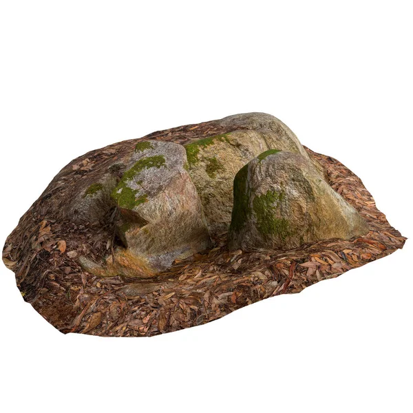 Beyaz arka planda kuru yaprakların üzerine kurulmuş 3 boyutlu yosun kaplı kayalar.