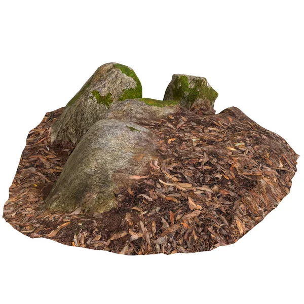 3D苔藓覆盖的岩石图解 放在干枯的叶子上 白色背景隔离 — 图库照片