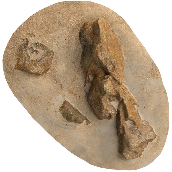 Kum rafındaki kayaların beyaz arka planda izole edilmiş 3D çizimi