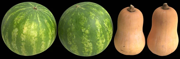 Illustratie Van Cucurbita Moschata Watermeloen Geïsoleerd Zwarte Achtergrond — Stockfoto