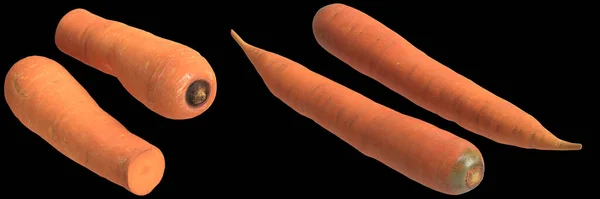 从黑色背景分离出来的胡萝卜3D插图 — 图库照片