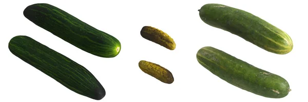 从白色背景分离出来的黄瓜3D图解 — 图库照片