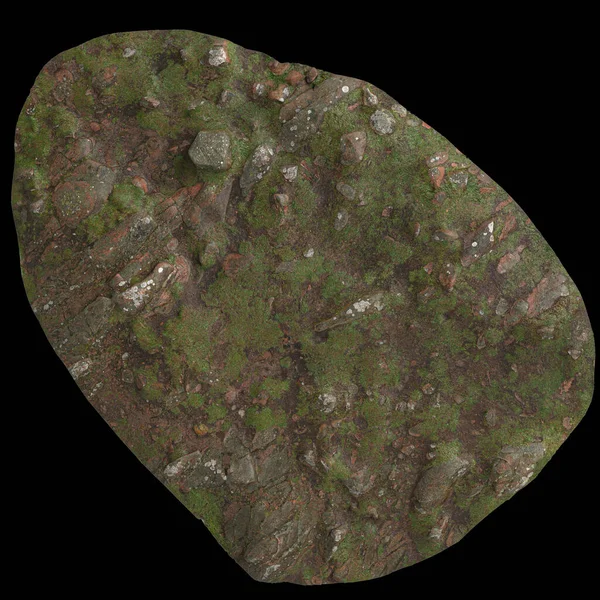 3D地面图解 苔藓覆盖干燥隔离黑色背景顶部视图 — 图库照片
