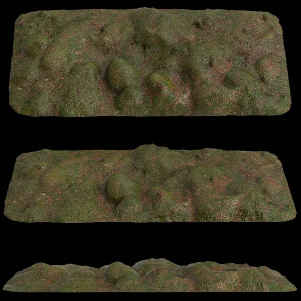 Zeminin 3 boyutlu çizimi, siyah arkaplanda kuru yosun örtüsü