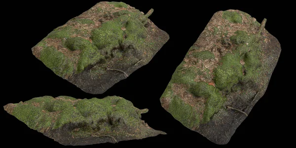 Zeminin 3 boyutlu çizimi, siyah arkaplanda kuru yosun örtüsü