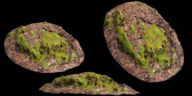 Siyah arka planda izole edilmiş kuru yapraklardan oluşan bir rafa yerleştirilmiş yosun kaplı toprağın 3D çizimi