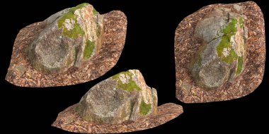 Siyah arka planda kuru yapraklara sabitlenmiş yosun kaplı kayaların üç boyutlu çizimi